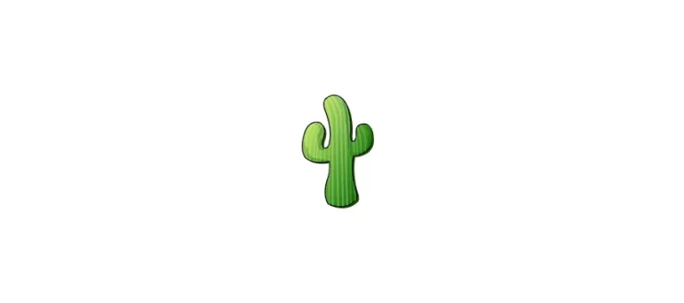 cacti