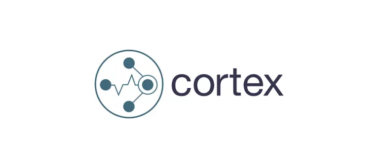 cortex