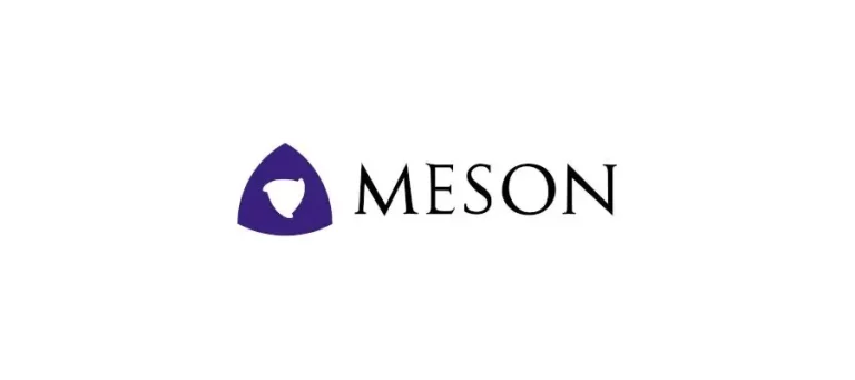 meson